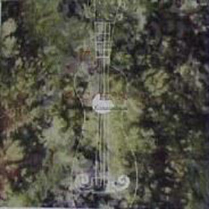 纲手的腿法熟练脚法视频
