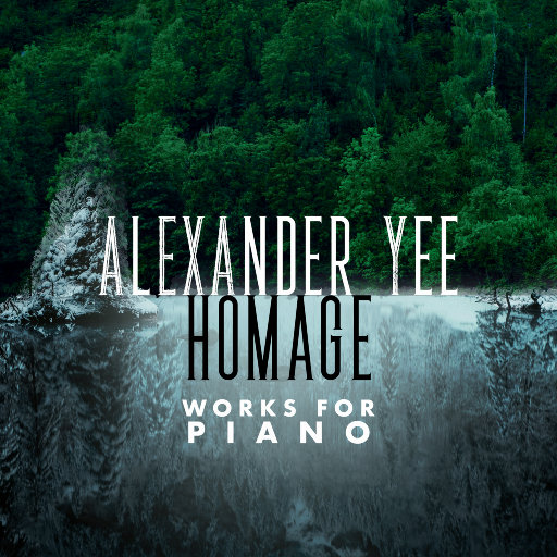 纲手的腿法熟练脚法视频
